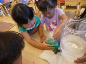 f23d764bfbe37a642d12ed4866c74917 300x225